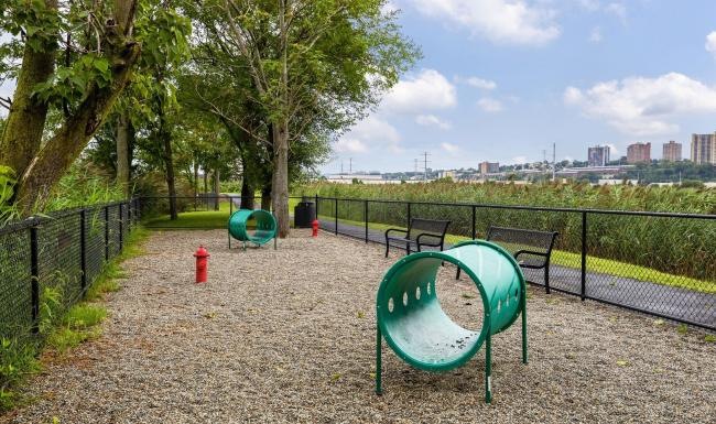 a park with a slide